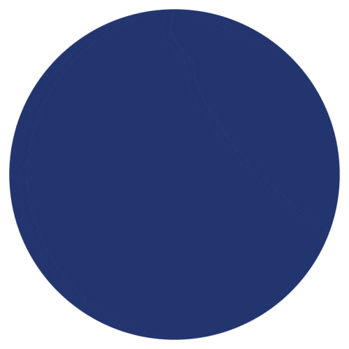 Blue Circle Logo GIF